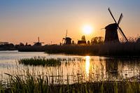 Windmills by sunset