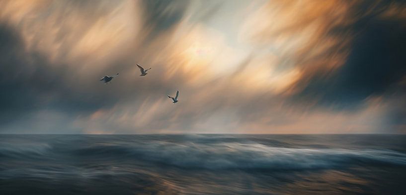 Magisches Leuchten am Strand von fernlichtsicht
