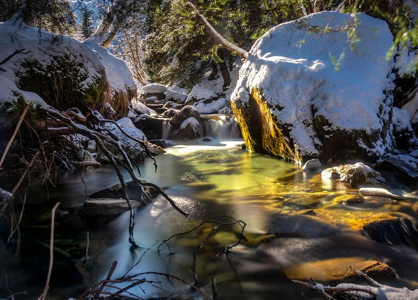 Gebirgsbach im Winter von Alex Neumayer