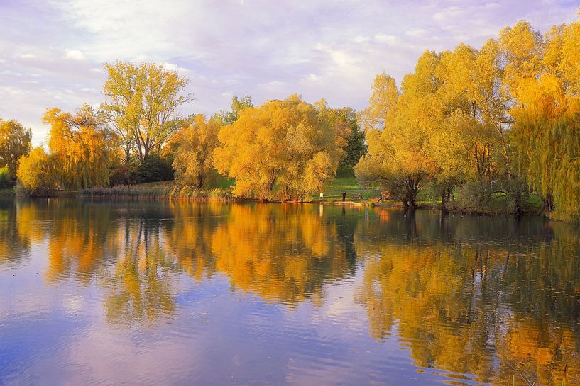 Goldener Seepark Freiburg by Patrick Lohmüller