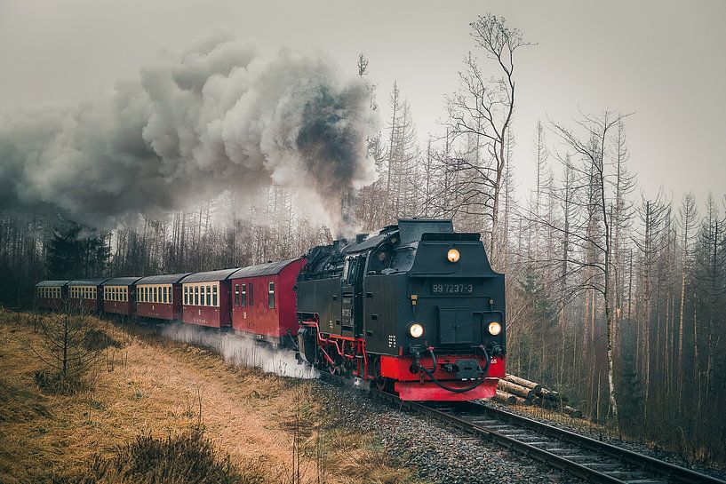 Steam locomotive of the Harz narrow-gauge railway by Harzwald Fotograf