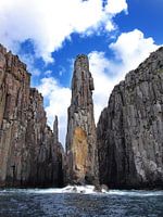 " Kerzenständer &Ampel; Totempfahl" im Cape Huay Tasman National Park