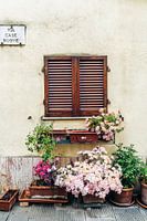 Blumen in Pienza, Toskana, Italien