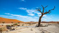 Deadvlei Namibia