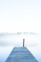 Ascendant in the morning fog