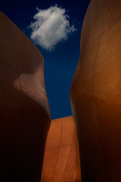 Sans titre par Roberto Marini