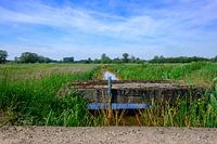 Natural Landscape With A Stream And An Old Bridge