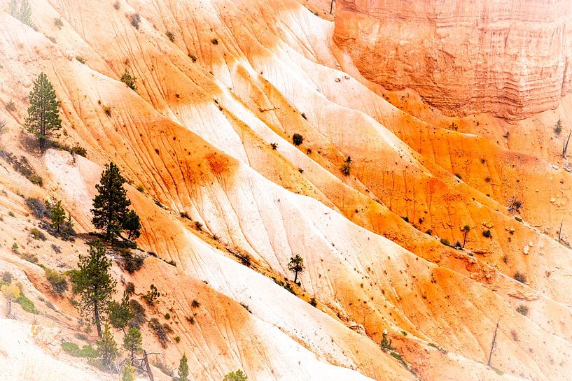 Aiguilles de roche dans le grand paysage d'érosion du parc national de Bryce Canyon, dans l'Utah, au par Dieter Walther