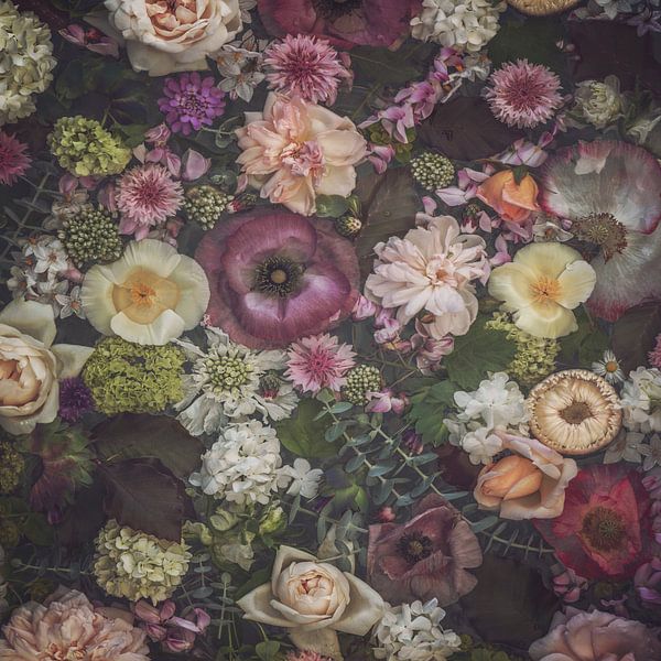 Katje von Marina de Wit