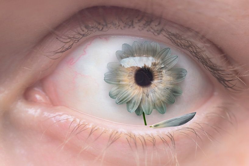 Nachdenken über Blumen: Das tragische Schicksal des Verwelkens durch Menschenhand von Elianne van Turennout