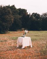 Mediterranean Picnic