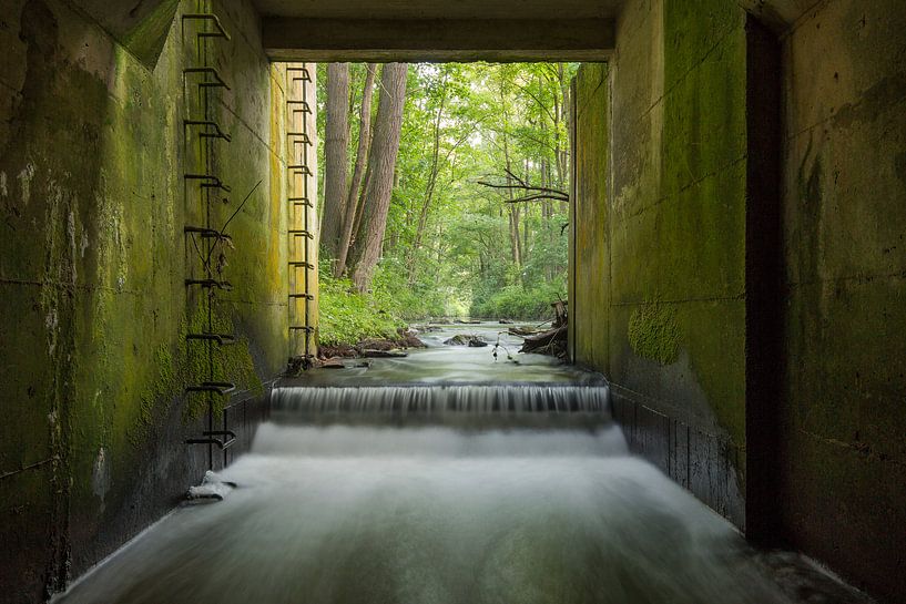 Jungle de béton par Philippe Velghe