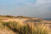 Coastline in Zeeland