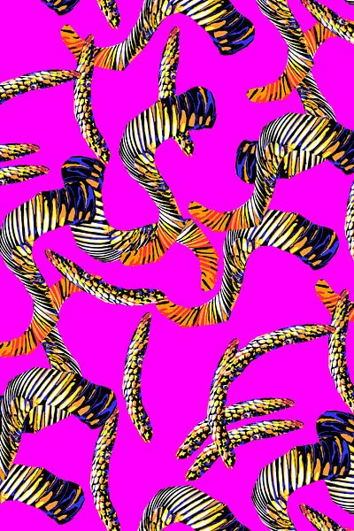 Pink Dragon by JipvanZeist