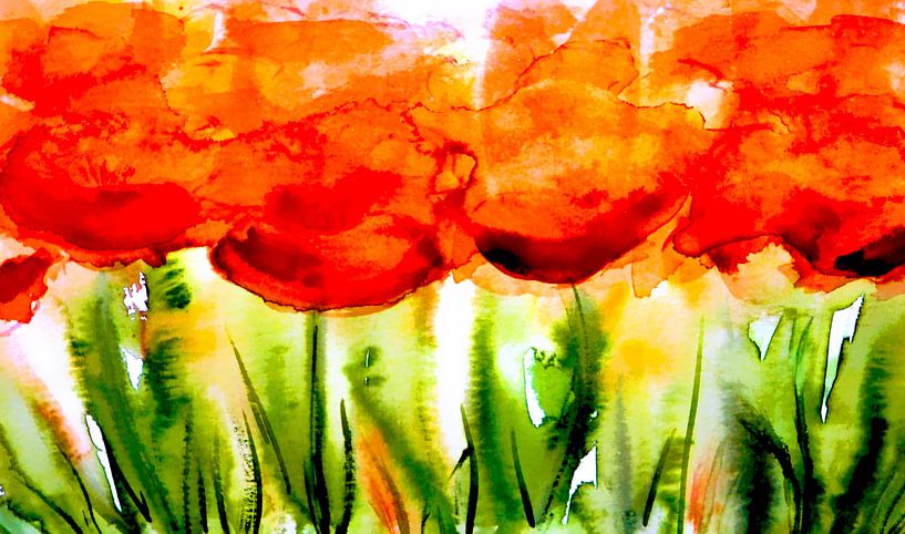 Sommerfülle von M.A. Ziehr