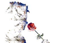 Blume. Eine Rose riechen. Modern und abstrakt. Weißer Hintergrund.