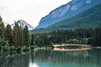 Brücke in den Rocky Mountains