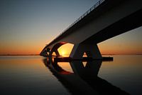 Du soleil en Zélande