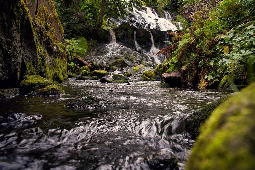 Petite cascade dans la forêt avec de la mousse sur des pierres par Martin Köbsch