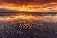 Seeländisches Licht