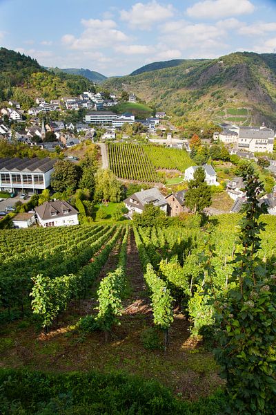 Wijndorp von Vincent van den Hurk