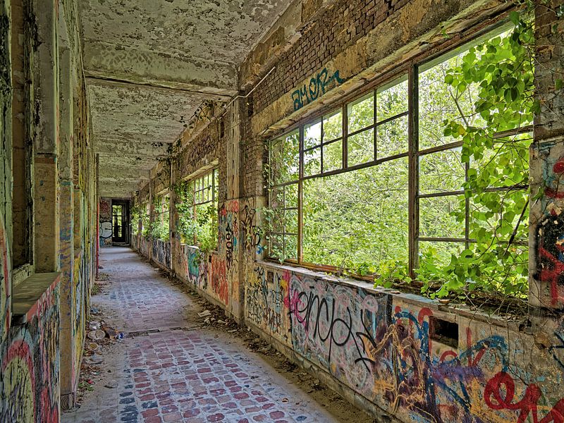 Urbex &amp; abandoned places - &quot;Jungle versus Graffiti&quot; by BHotography