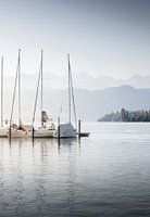 Morning calmness (portrait mode)