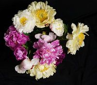 Pfingstrosen in einer Vase, von oben fotografiert