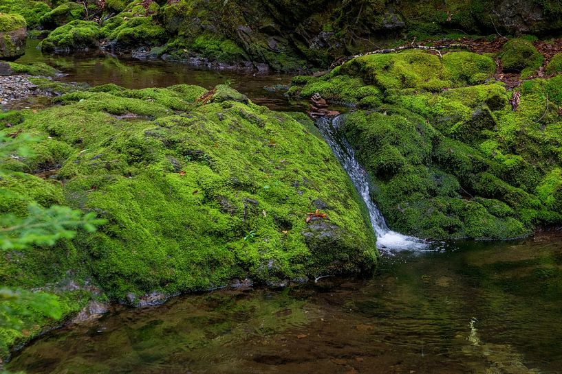 Bachlauf in Nova Scotia/Kanada von Hans-Heinrich Runge
