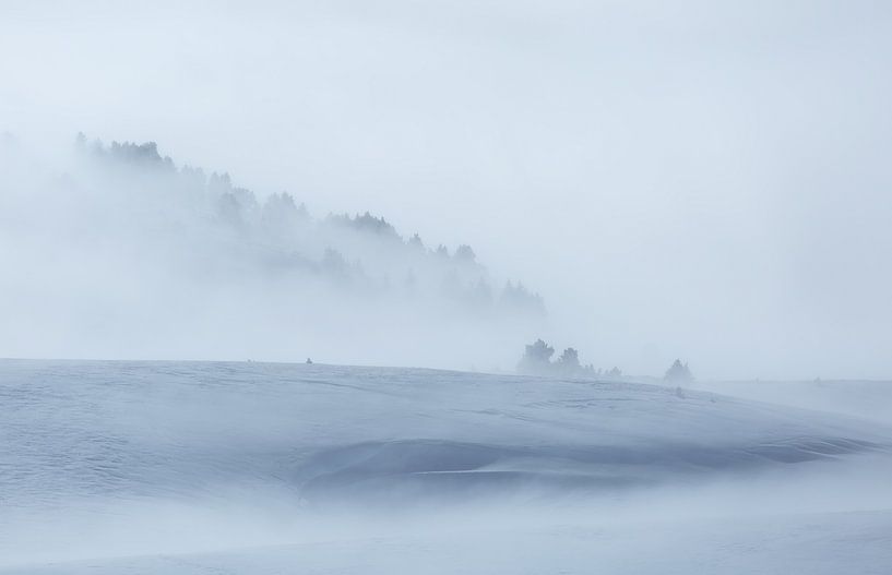 Minimalism in winter par Sander van der Werf