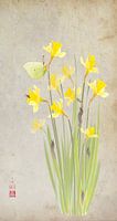 Daffodils with lemon butterfly
