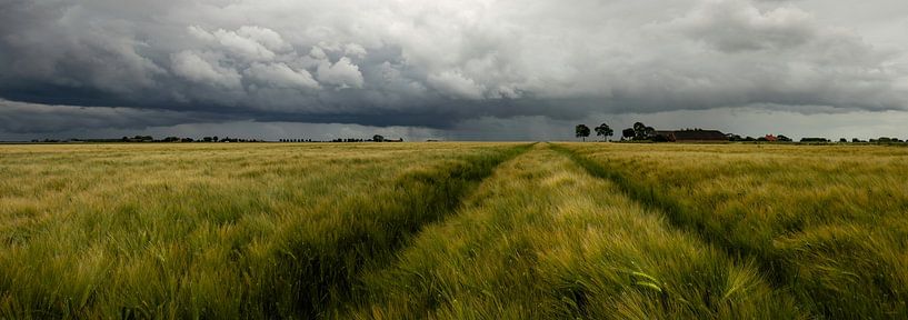 In the countryside by Ton Drijfhamer