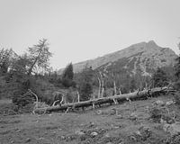 Mountains in black and white