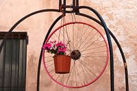 Alghero, Sardinien, Italien