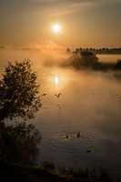 Flying off into the sunrise