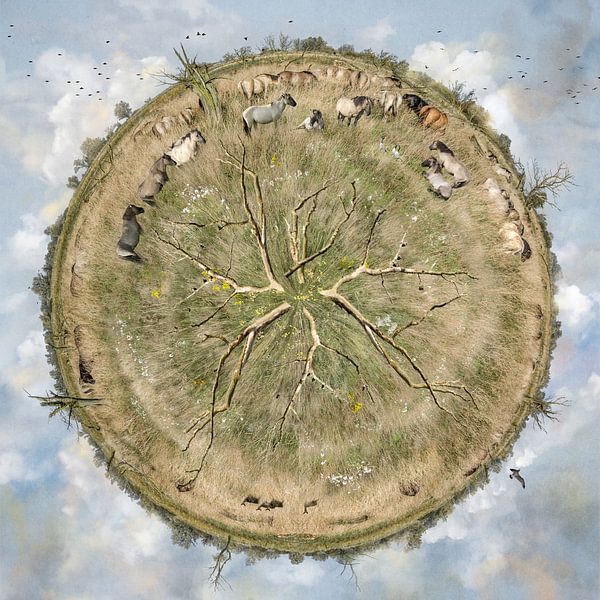 Impression de Oostvaardersplassen par Hannie Kassenaar