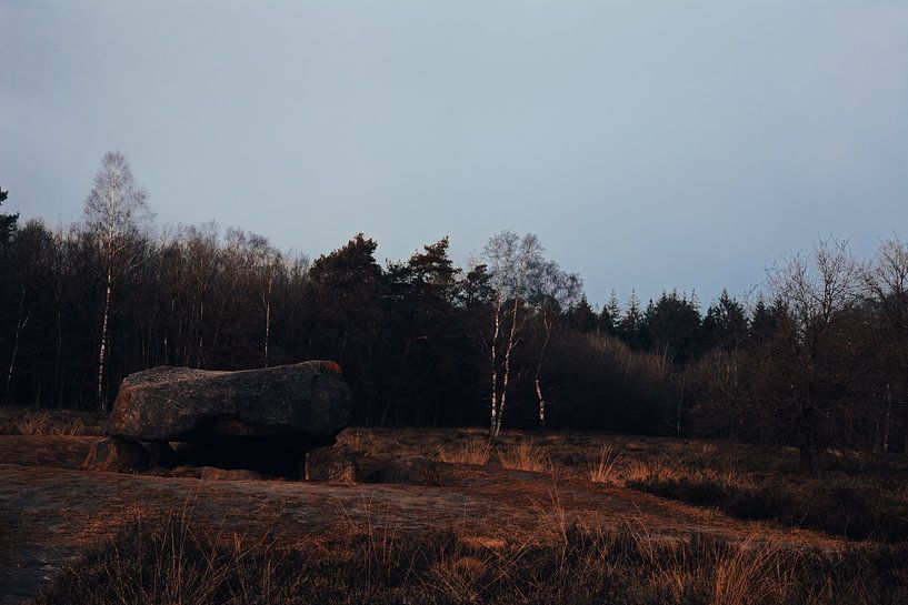 Dolmen in Valtherbos Drenthe von Denise Tiggelman