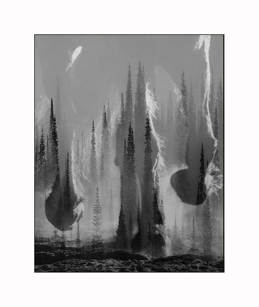 Pferdefüße von Dmm Fotografie