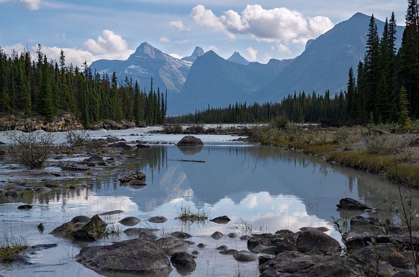 Athabasca River, Jasper National Park, Rocky Mountains, Alberta, Canada by Alexander Ludwig