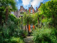 Das versteckte Paradies