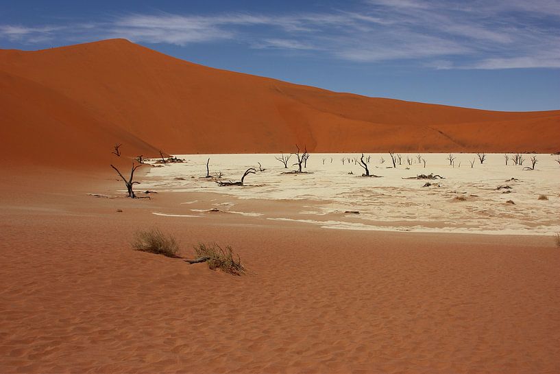 NAMIBIE ... Deadvlei IV par Meleah Fotografie