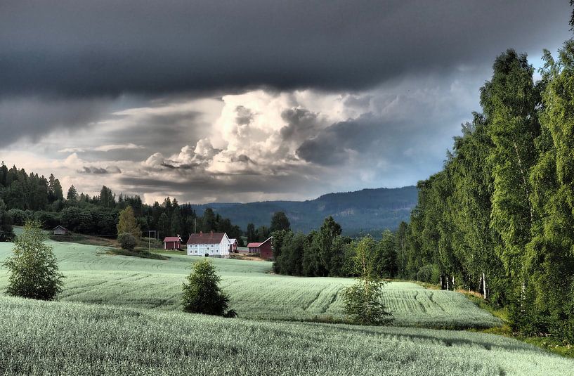 Het witte huisje van Wendy Drent