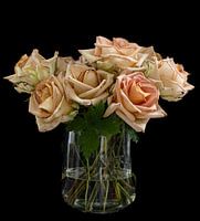 Pastellfarbene Rosen