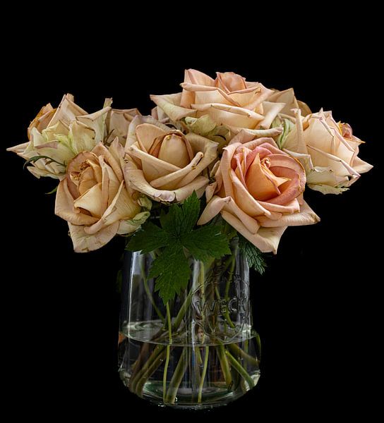 Pastel-coloured roses by Huub de Bresser