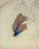 Bienvenue dans la mer des Caraïbes.