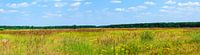 Panorama photo nature reserve in Belgian municipality Lommel