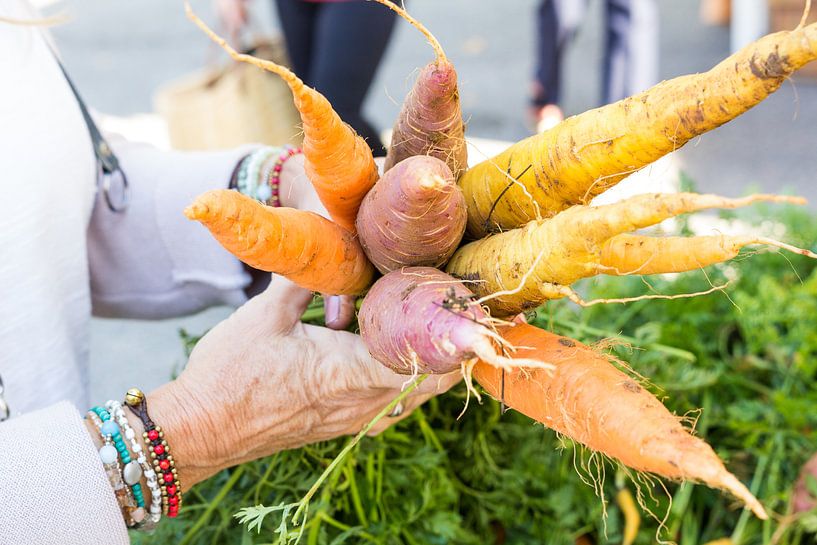 Wortels von Tess Smethurst-Oostvogel