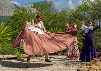 Flamenco in den Bergen 5