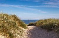 Der Weg zum Strand