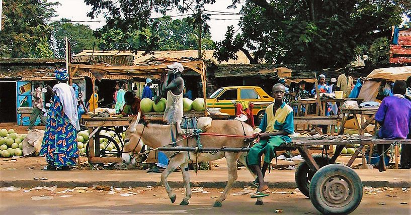 Le peuple et la culture de la Gambie ( 7 ) par Ineke de Rijk
